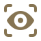 icons8-vision-60
